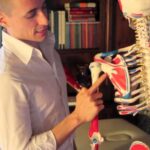 Il testo della canzone che rivela: Sono nato rossonero – Un inno alla passione!