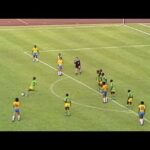 Il Libro Mai Dire Gol: Segreti e Aneddoti di Calcio in un Imperdibile Volume